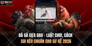 Đá Gà Cựa Dao - Luật Chơi, Cách Soi Kèo Chuẩn Cho Sư Kê 2026