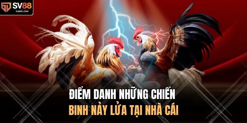 Điểm danh những chiến binh nảy lửa tại nhà cái